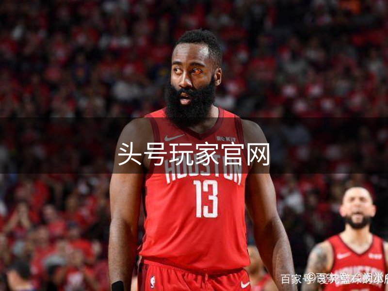 网站概况